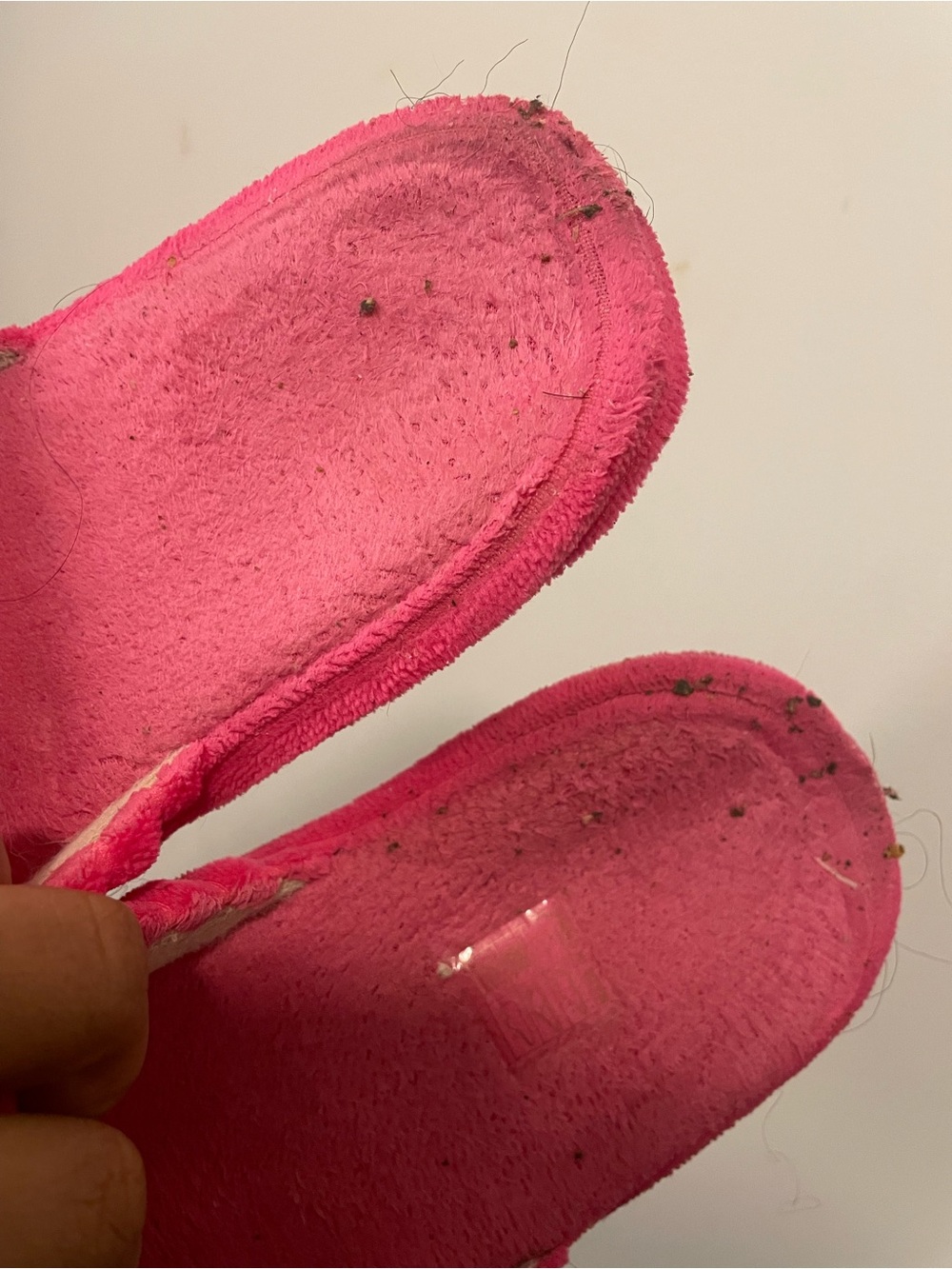 Well Worn Slippers - Picture 5 of 6